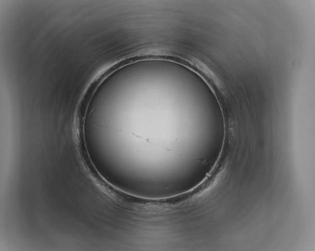 X0000111930981200908031114