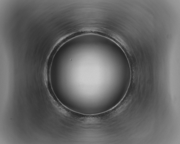 X0000111930984200908031114