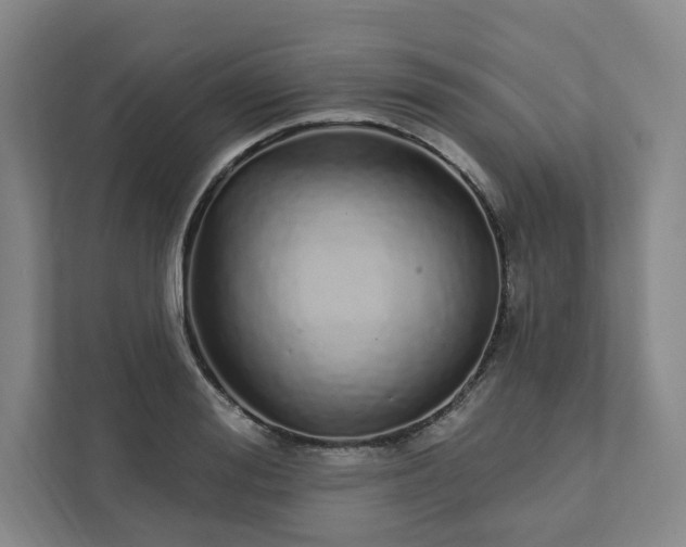 X0000111930988200908031114