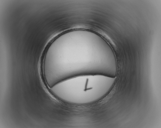 X0000111930991200908031114