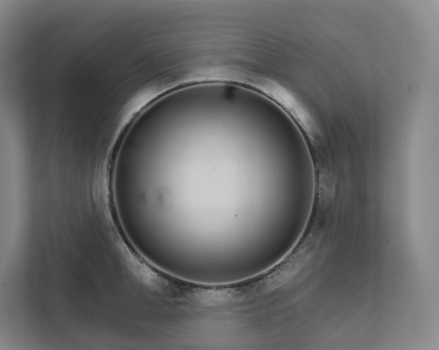 X0000111930998200908031114