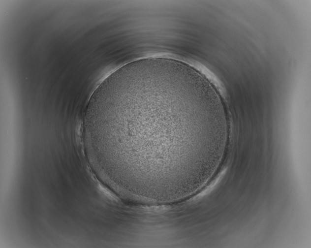 X0000111931001200908031114