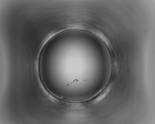 X0000111931007200908031114