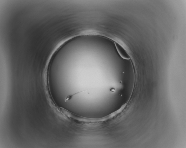 X0000111931008200908031114