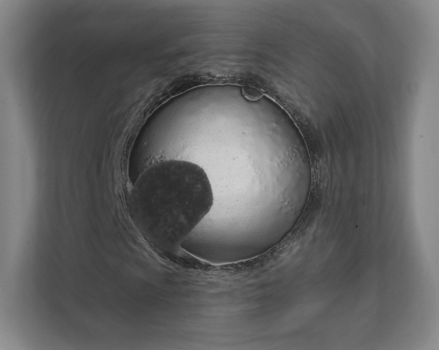 X0000111931009200908031113