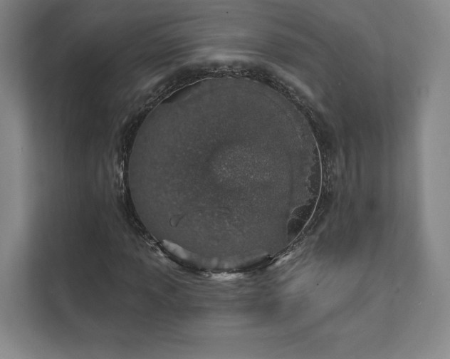 X0000111931013200908031114