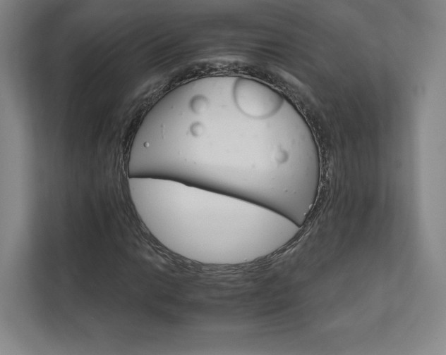 X0000111931014200908031114