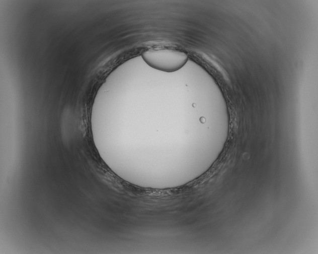 X0000111931015200908031114