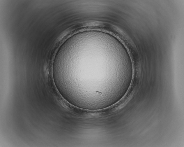 X0000111931017200908031114