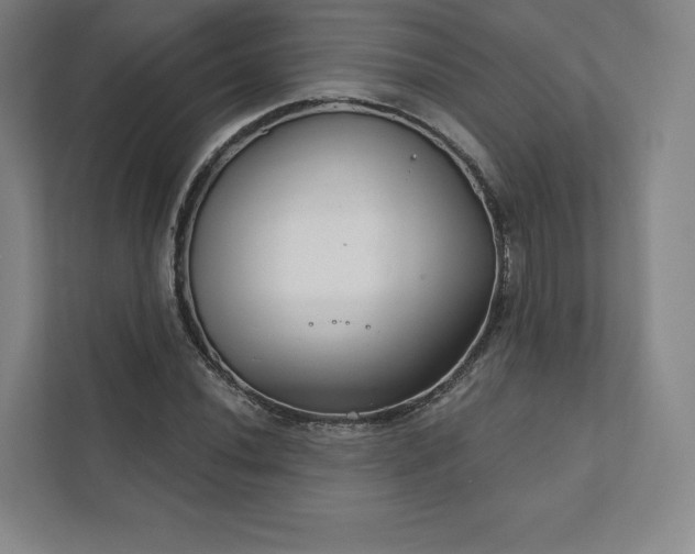 X0000111931020200908031114