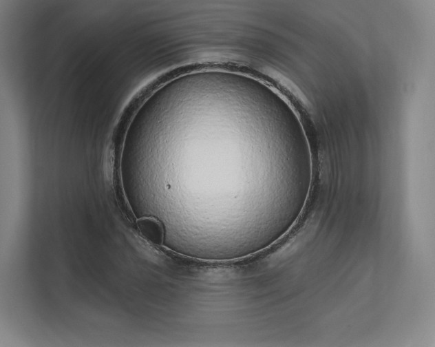 X0000111931021200908031114