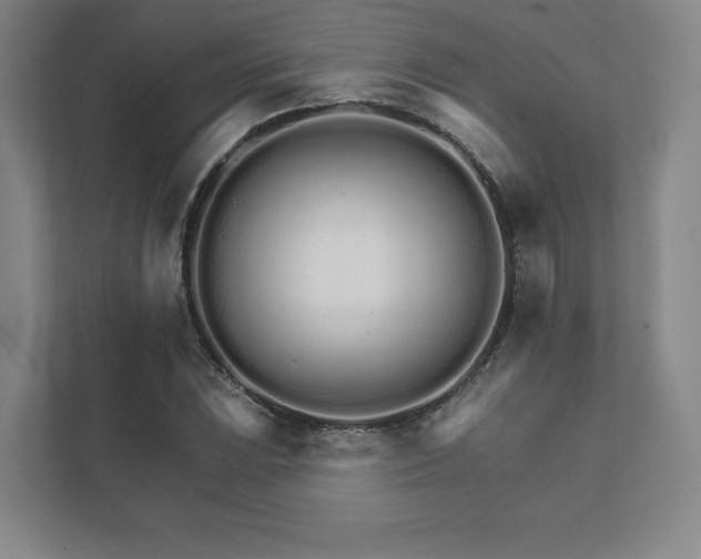 X0000111931023200908031114