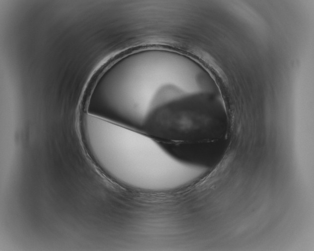 X0000111931024200908031114