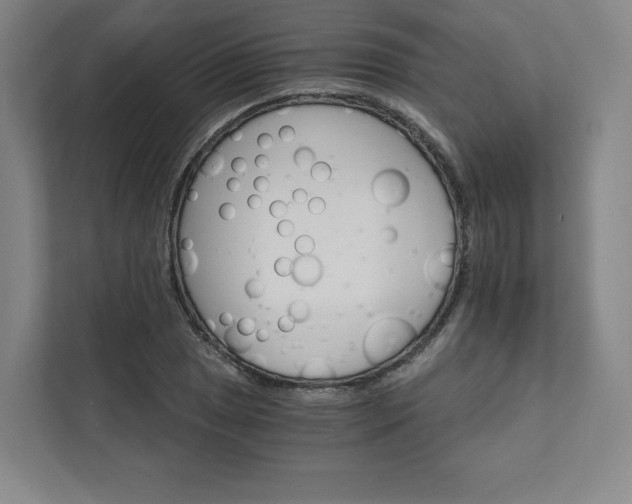 X0000111931025200908031114