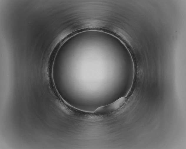 X0000111931026200908031114