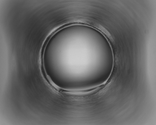 X0000111931028200908031114