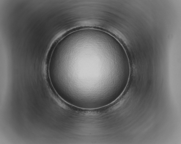 X0000111931029200908031114