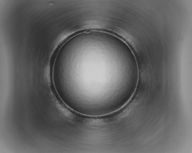 X0000111931030200908031114