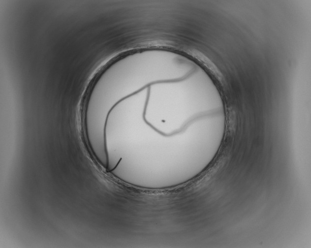 X0000111931031200908031114