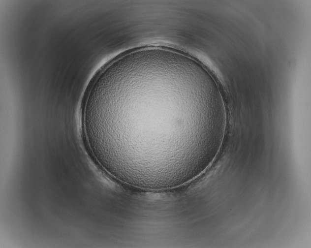 X0000111931032200908031114