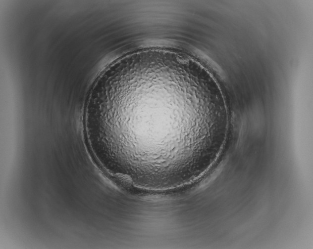 X0000111931033200908031114