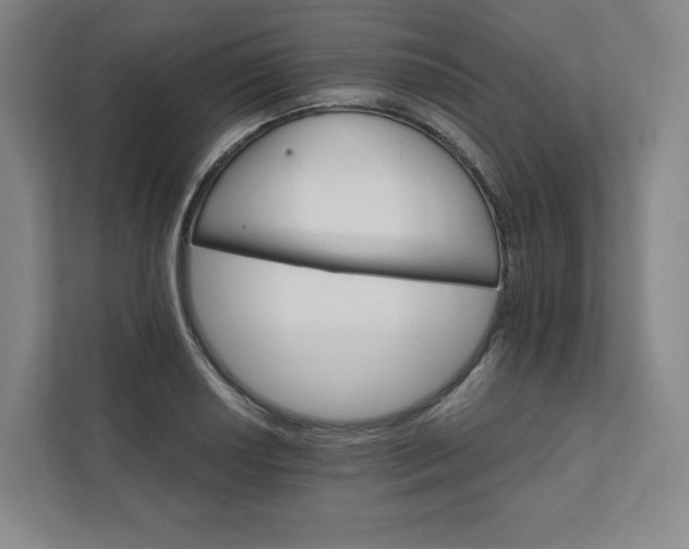 X0000111931034200908031114