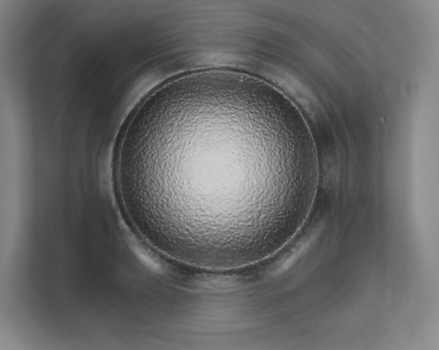 X0000111931039200908031114