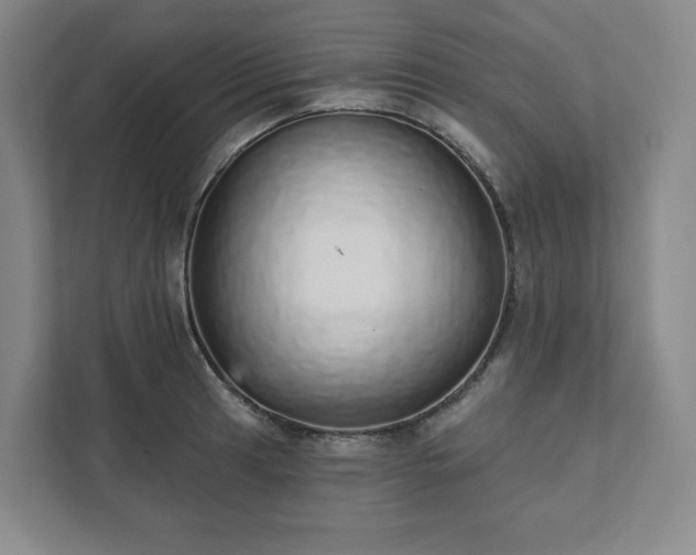 X0000111931041200908031114