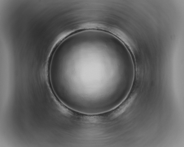 X0000111931045200908031114