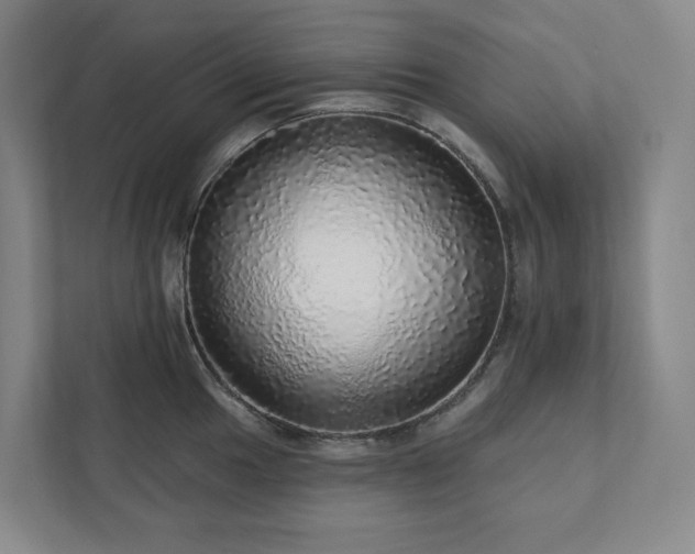 X0000111931049200908031114