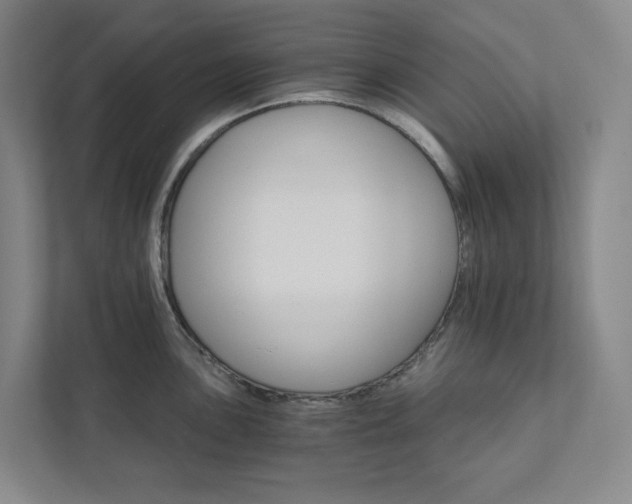 X0000111931051200908031114