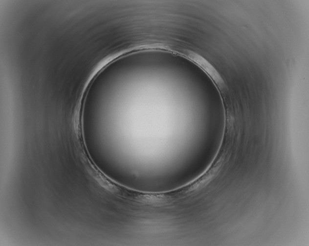 X0000111931052200908031114