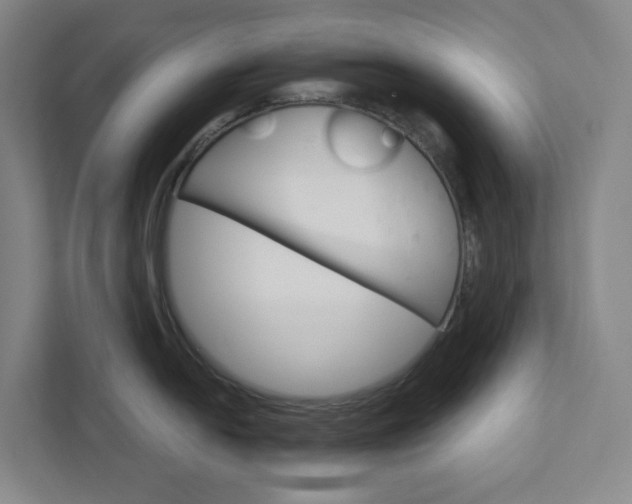 X0000111931054200908031114