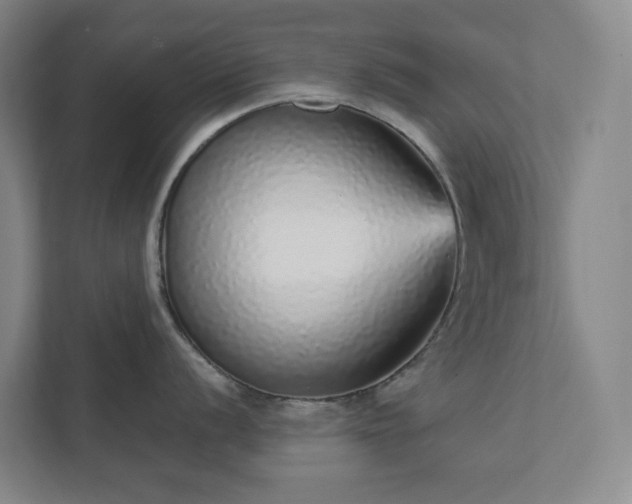 X0000111931056200908031114