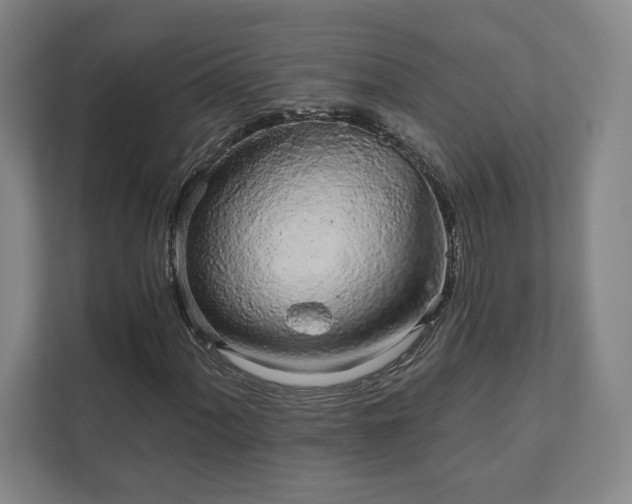 X0000111931060200908031113