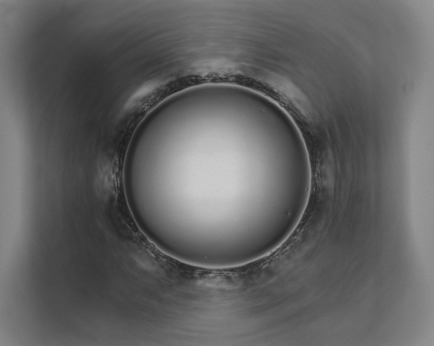 X0000111931063200908031113