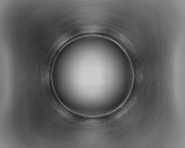 X0000111931073200908031113