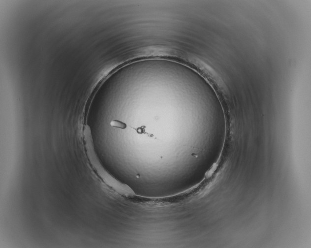 X0000111931081200908031113