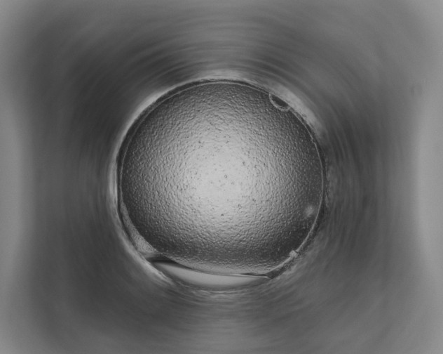 X0000111931084200908031113