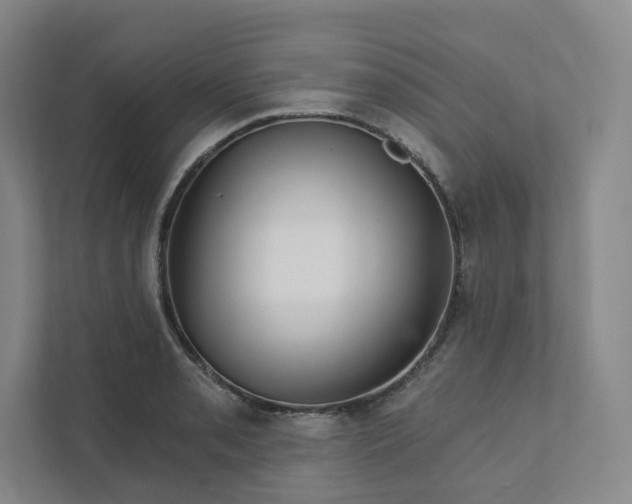 X0000111931085200908031113