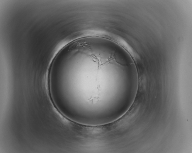 X0000111931103200908031113