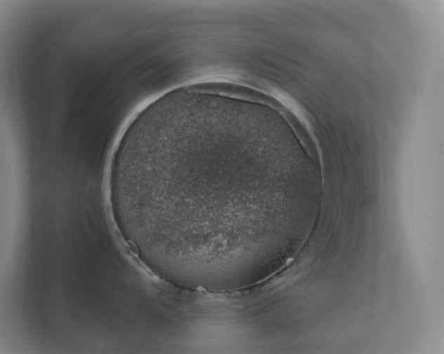X0000111931104200908031113