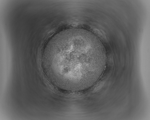 X0000111931105200908031112