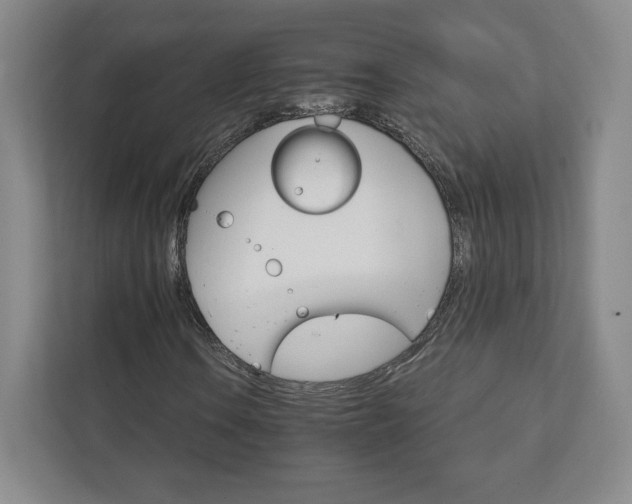 X0000111931106200908031112