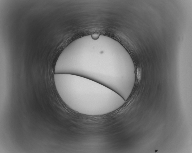 X0000111931107200908031112