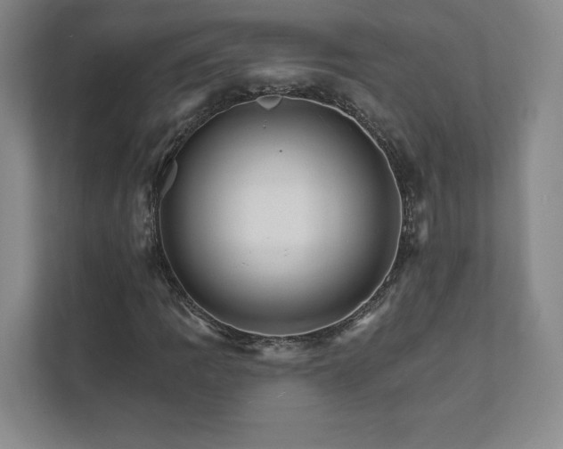 X0000111931109200908031112