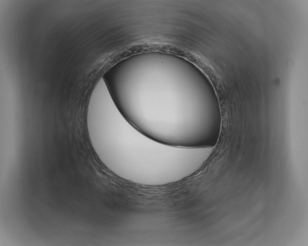 X0000111931110200908031112