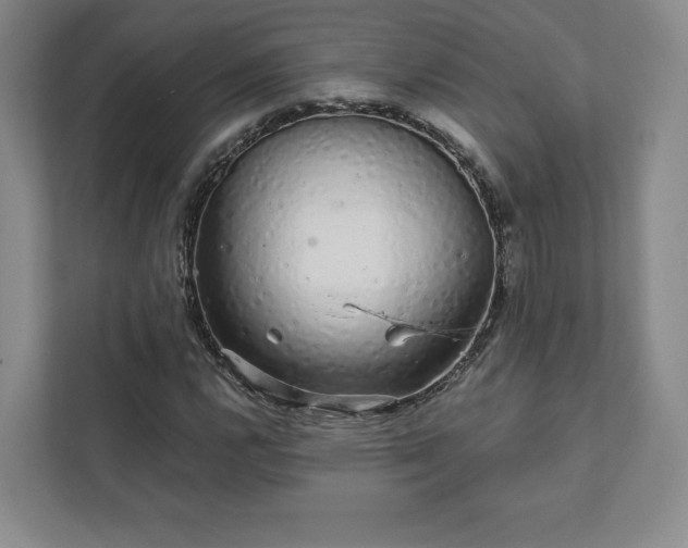 X0000111931112200908031112