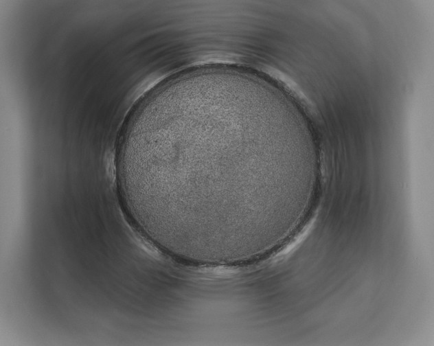 X0000111931113200908031112