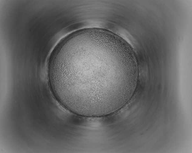 X0000111931116200908031112